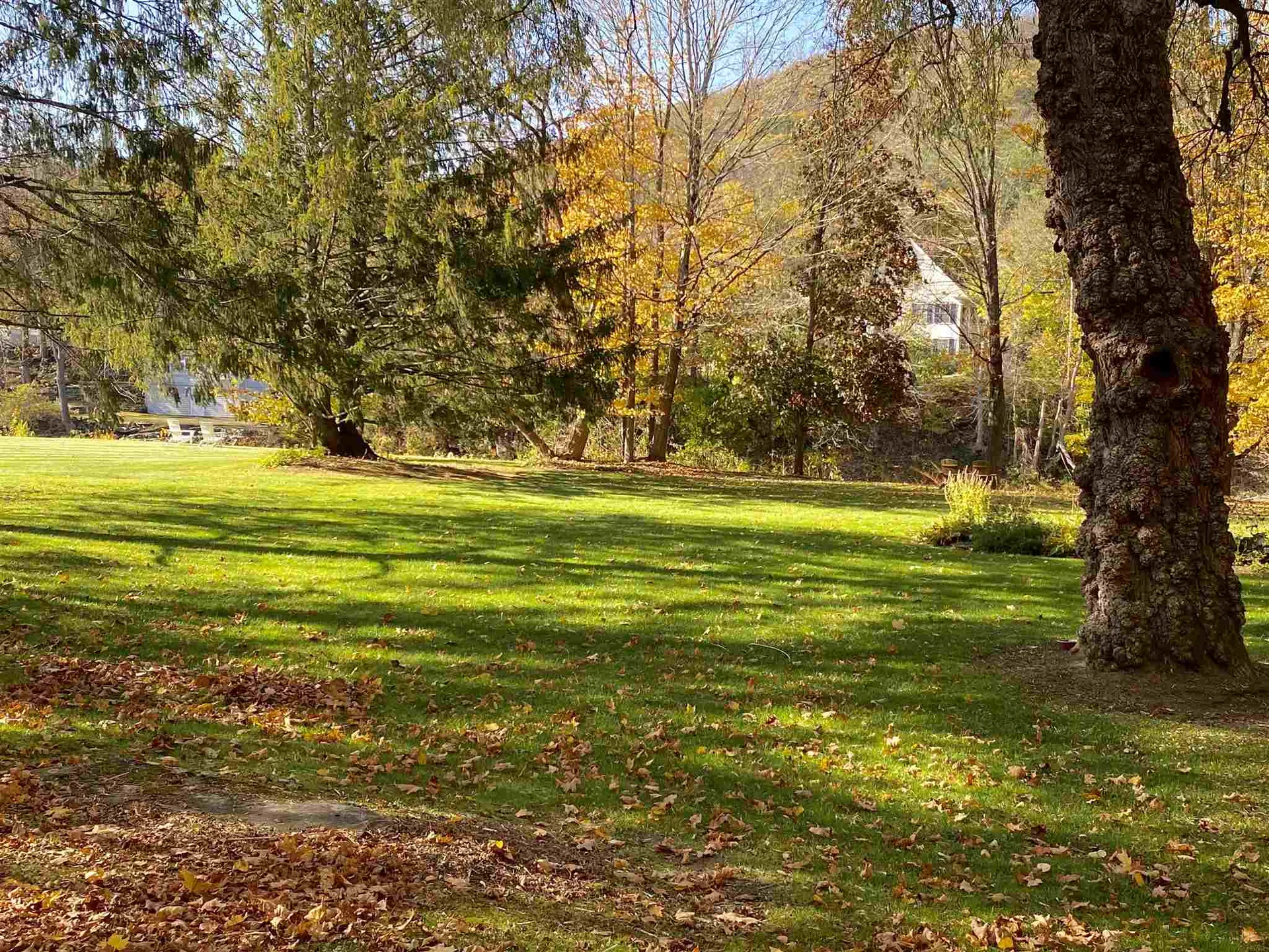 11 Church Street Woodstock VT 05091