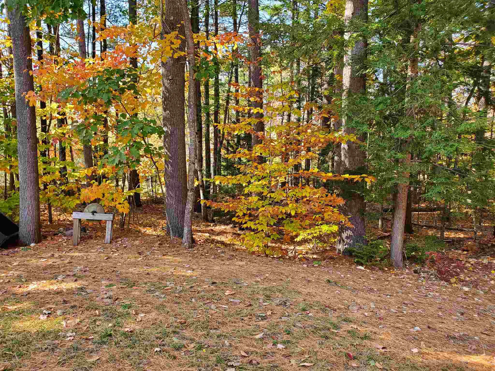 859 Route 16 Ossipee NH 03864