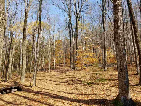 23 John White Road Topsham VT 05076