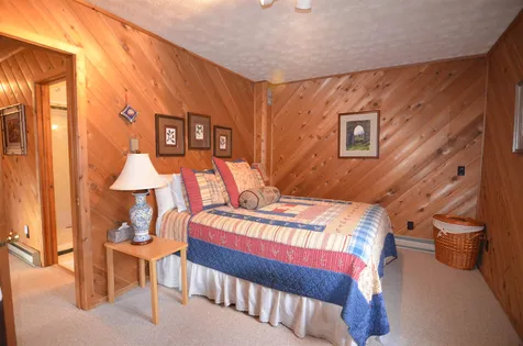 80 Lake Ninevah Road Mount Holly VT 05758
