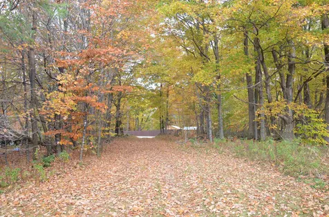 80 Lake Ninevah Road Mount Holly VT 05758