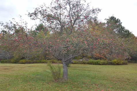 80 Lake Ninevah Road Mount Holly VT 05758