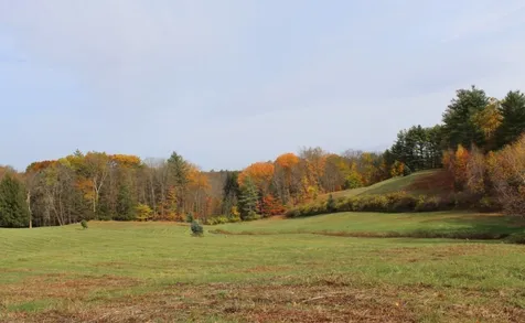 237 Randall Hill Road Springfield VT 05156