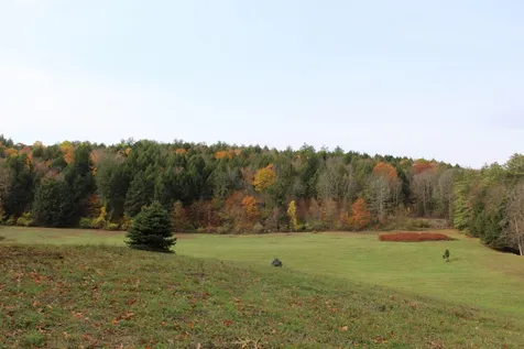 237 Randall Hill Road Springfield VT 05156