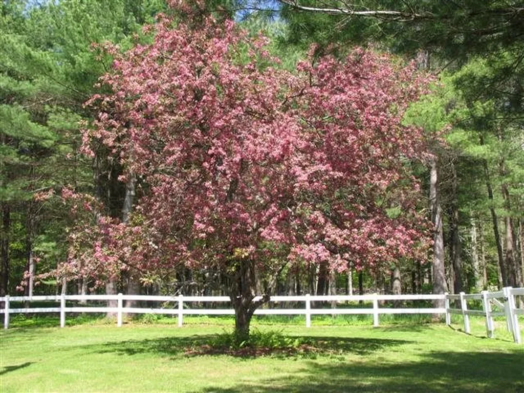 89 Blaisdell Hill Road Sutton NH 03221