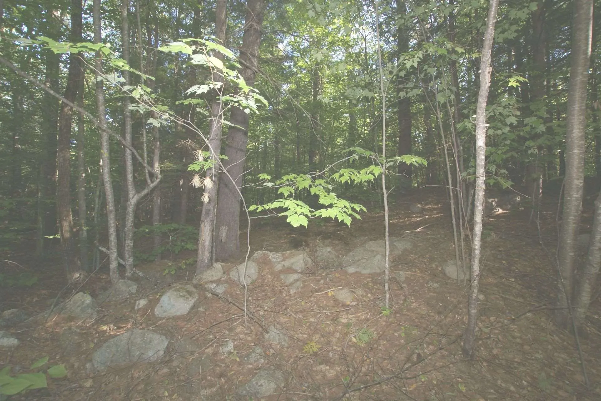 341 Spring Street Farmington NH 03835