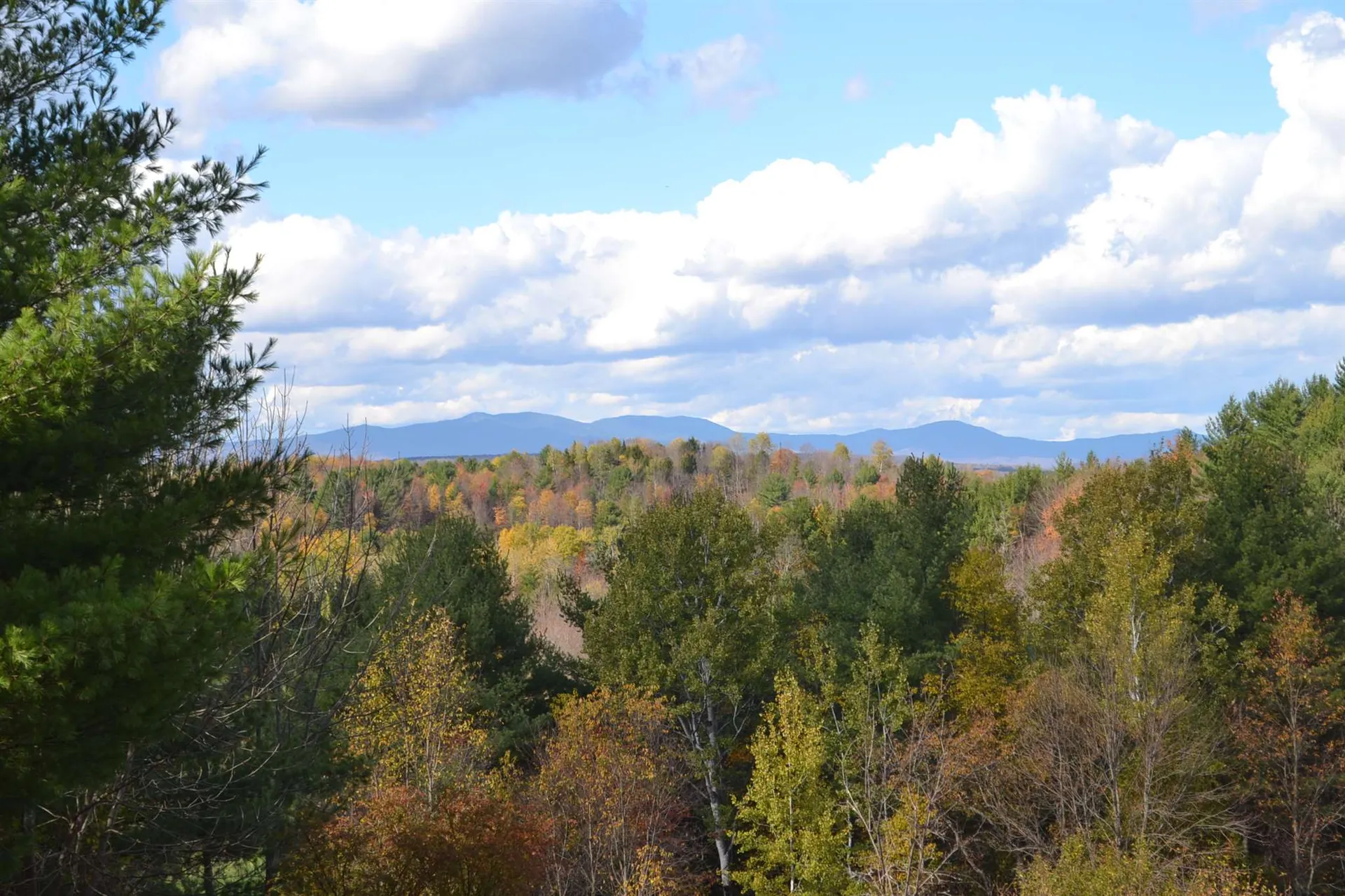 0 Cassie Street Barre Town VT 05641