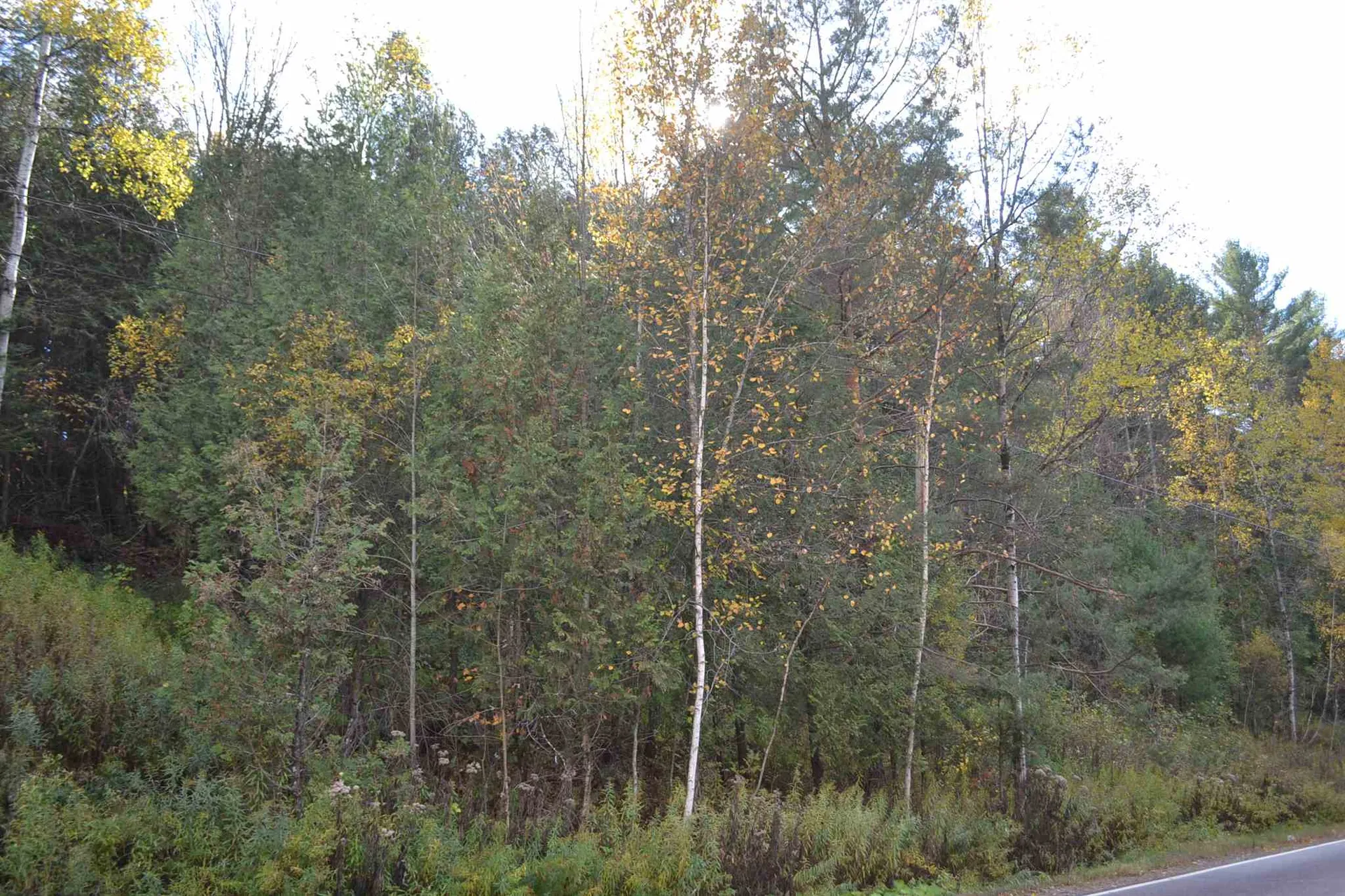 0 Cassie Street Barre Town VT 05641