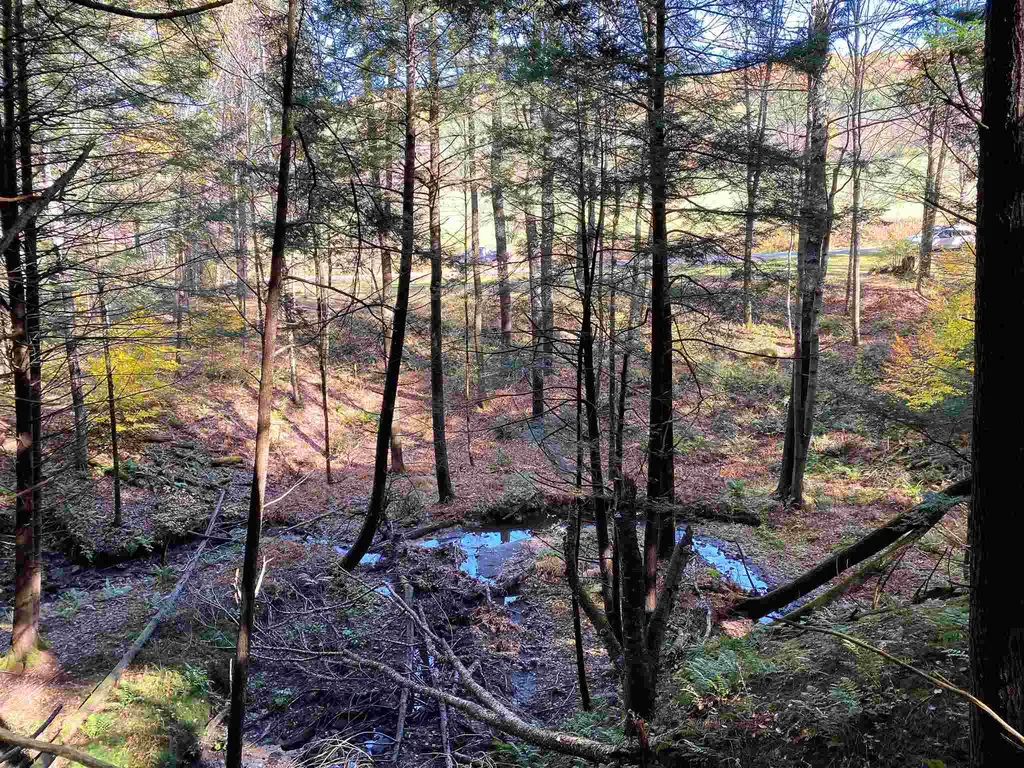00-001 Hartland Hill Road Woodstock VT 05091
