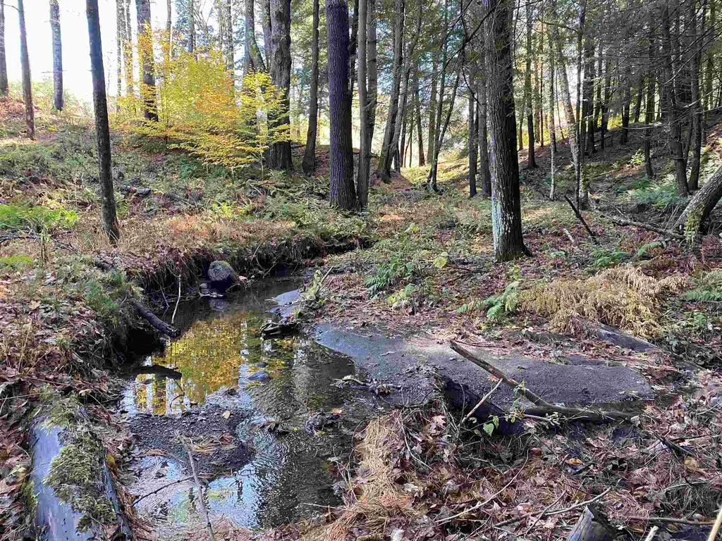 00-001 Hartland Hill Road Woodstock VT 05091