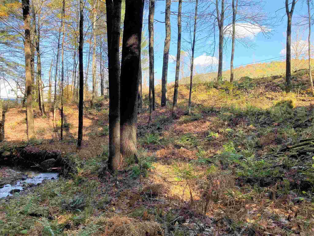 00-001 Hartland Hill Road Woodstock VT 05091