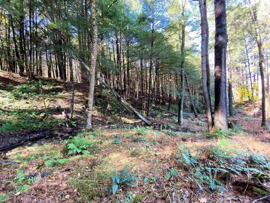 00-001 Hartland Hill Road Woodstock VT 05091