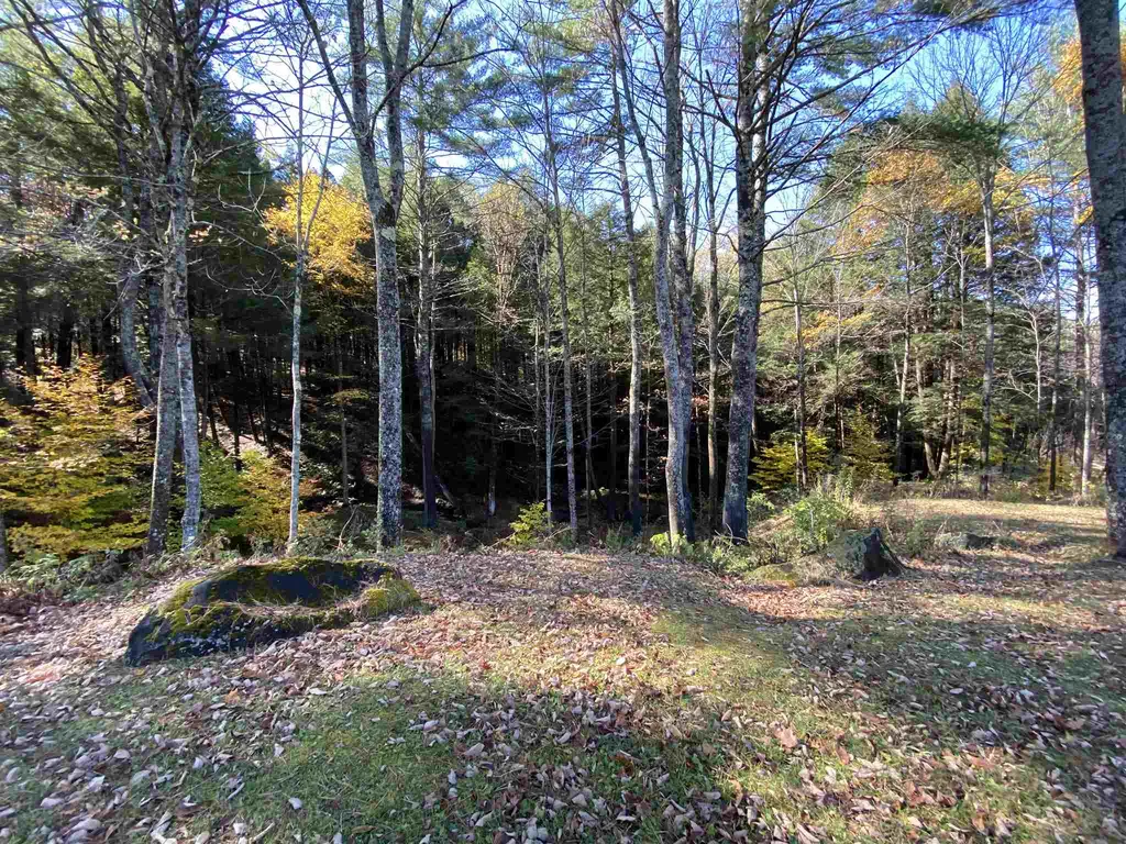 00-001 Hartland Hill Road Woodstock VT 05091