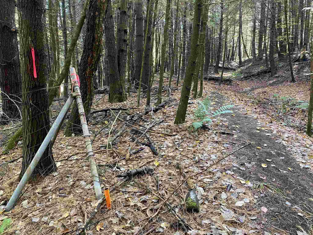 00-001 Hartland Hill Road Woodstock VT 05091