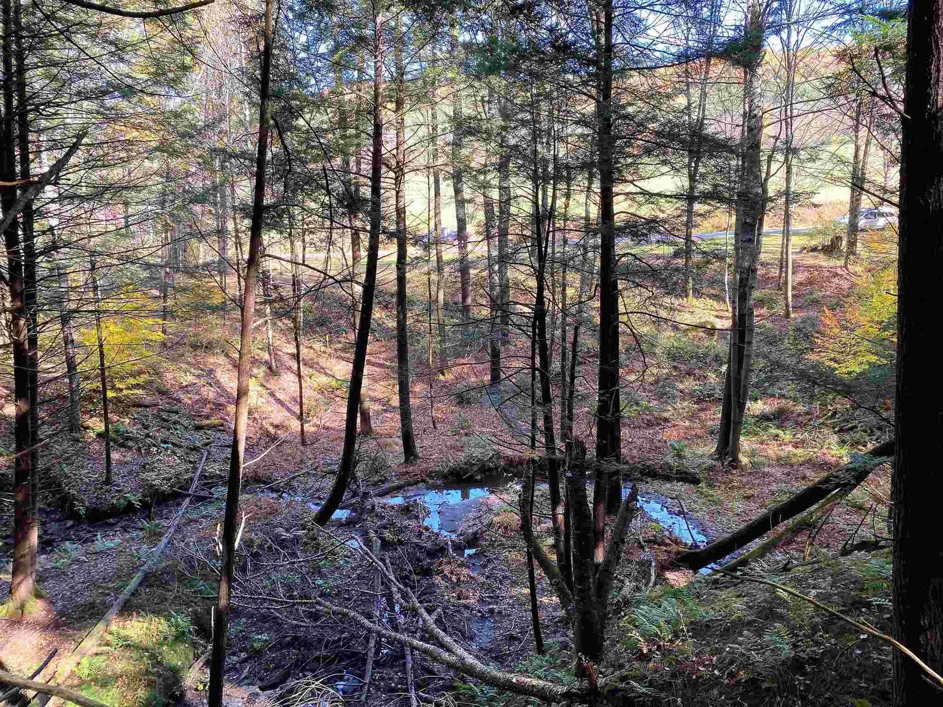 00-001 Hartland Hill Road Woodstock VT 05091