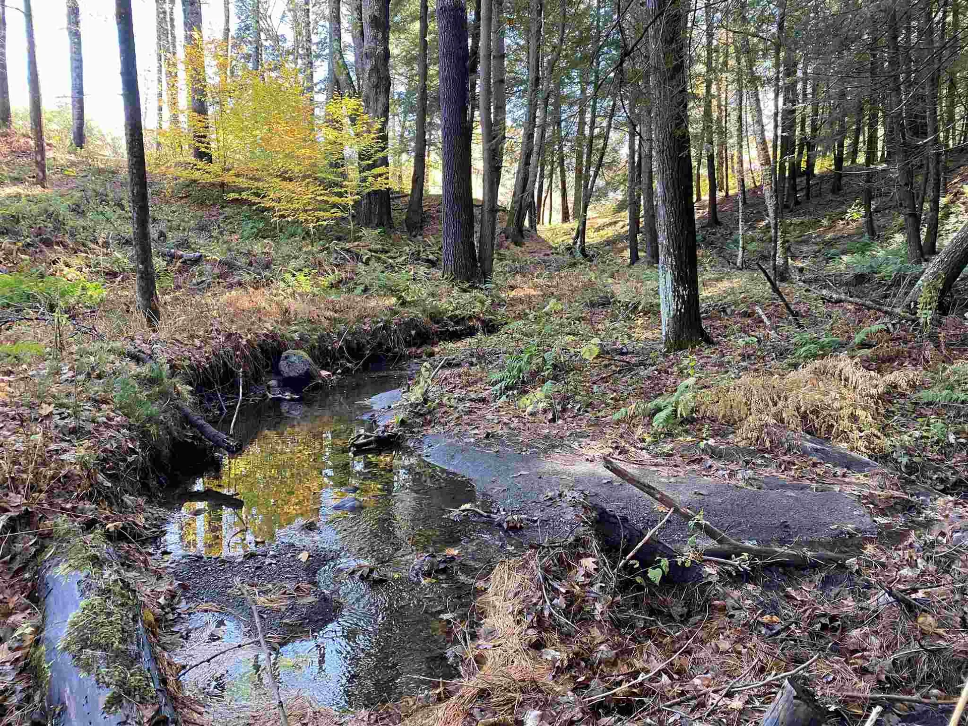 00-001 Hartland Hill Road Woodstock VT 05091