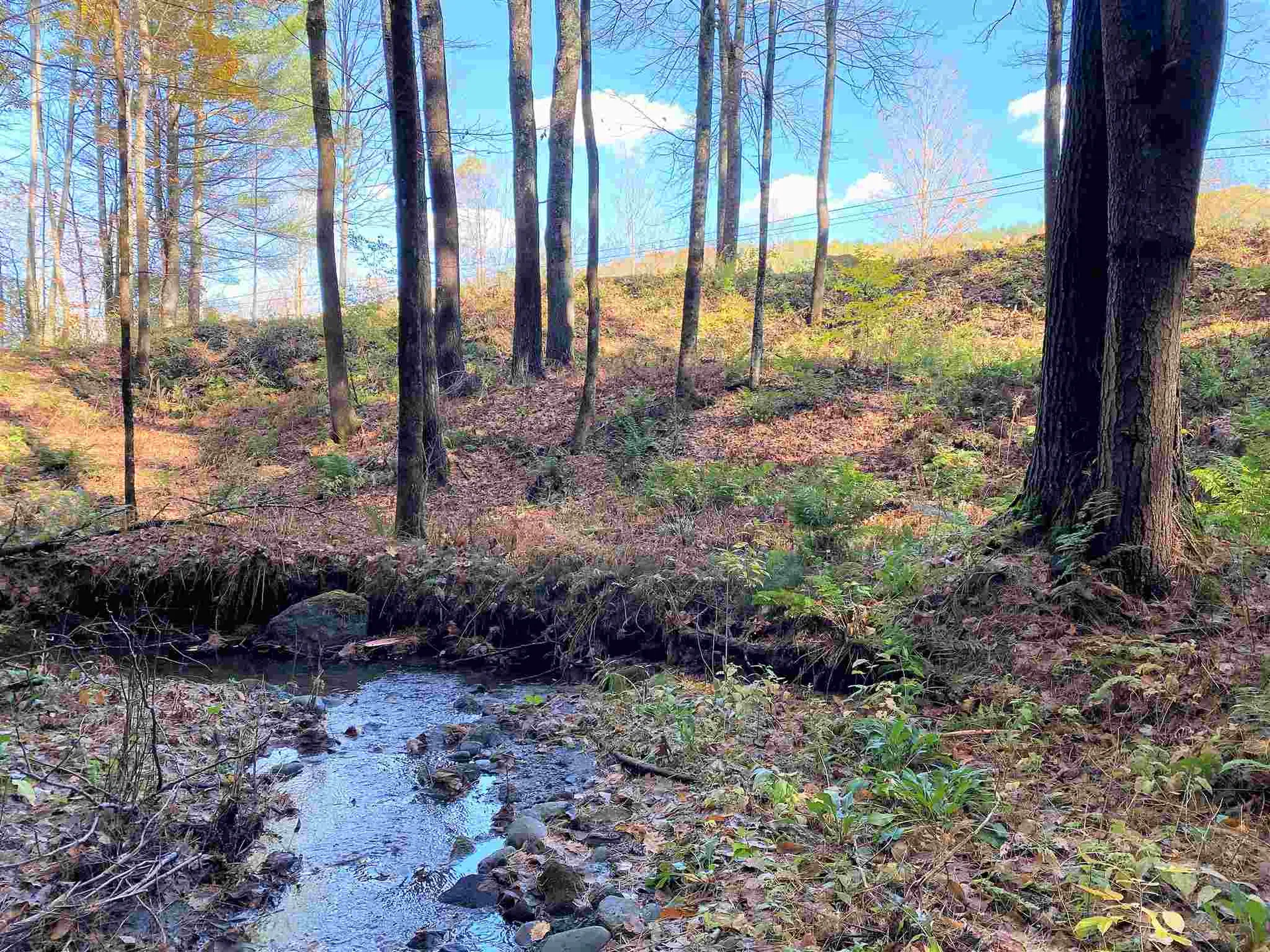 00-001 Hartland Hill Road Woodstock VT 05091