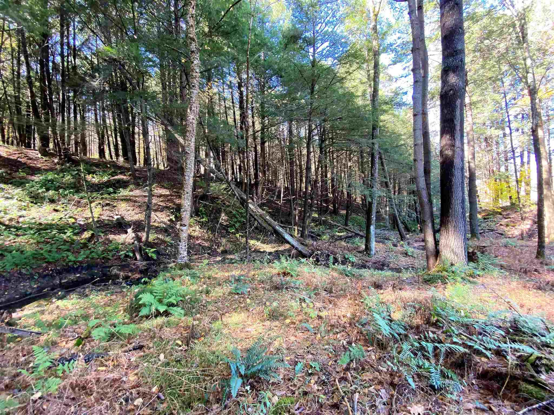 00-001 Hartland Hill Road Woodstock VT 05091