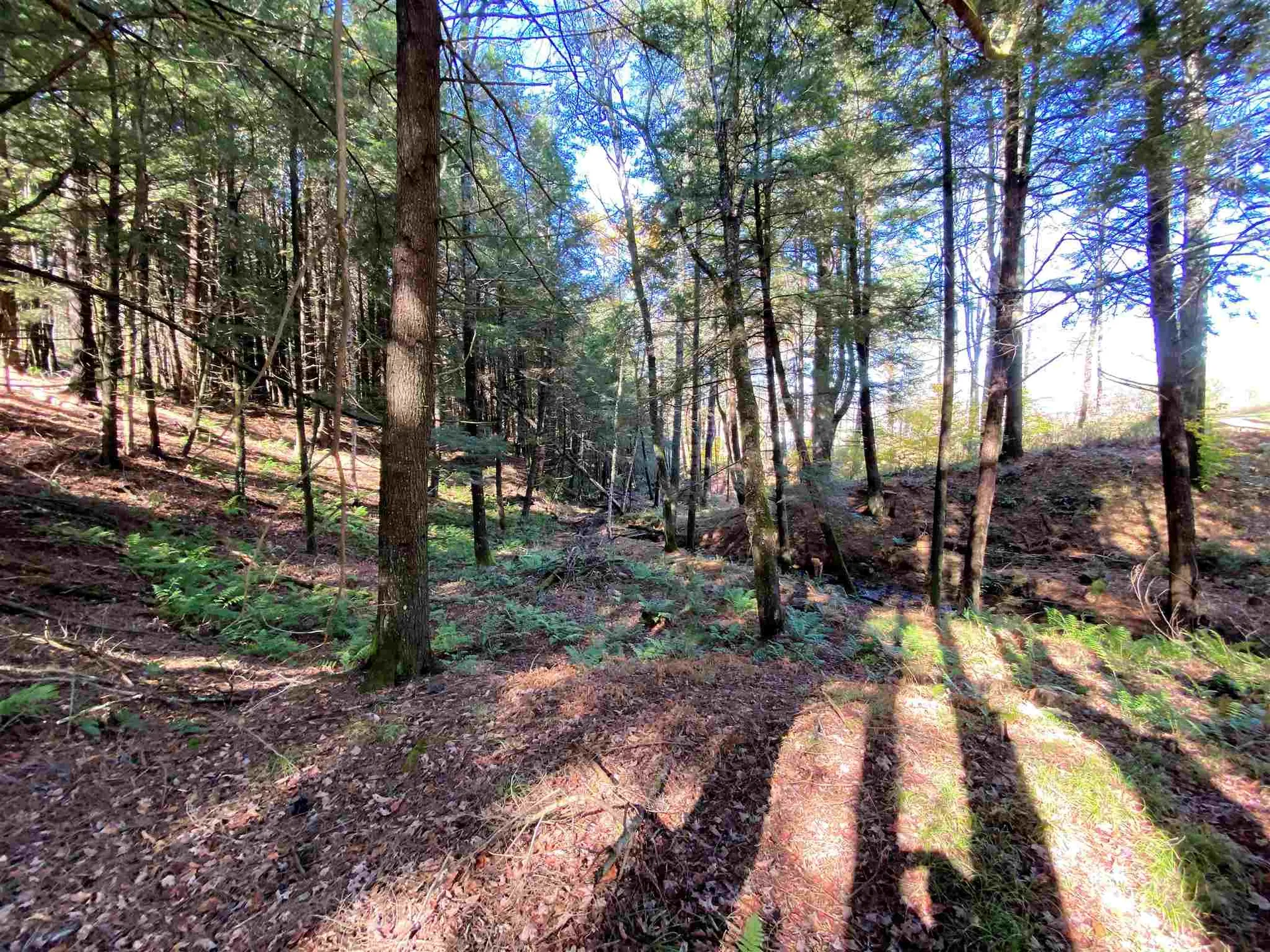 00-001 Hartland Hill Road Woodstock VT 05091