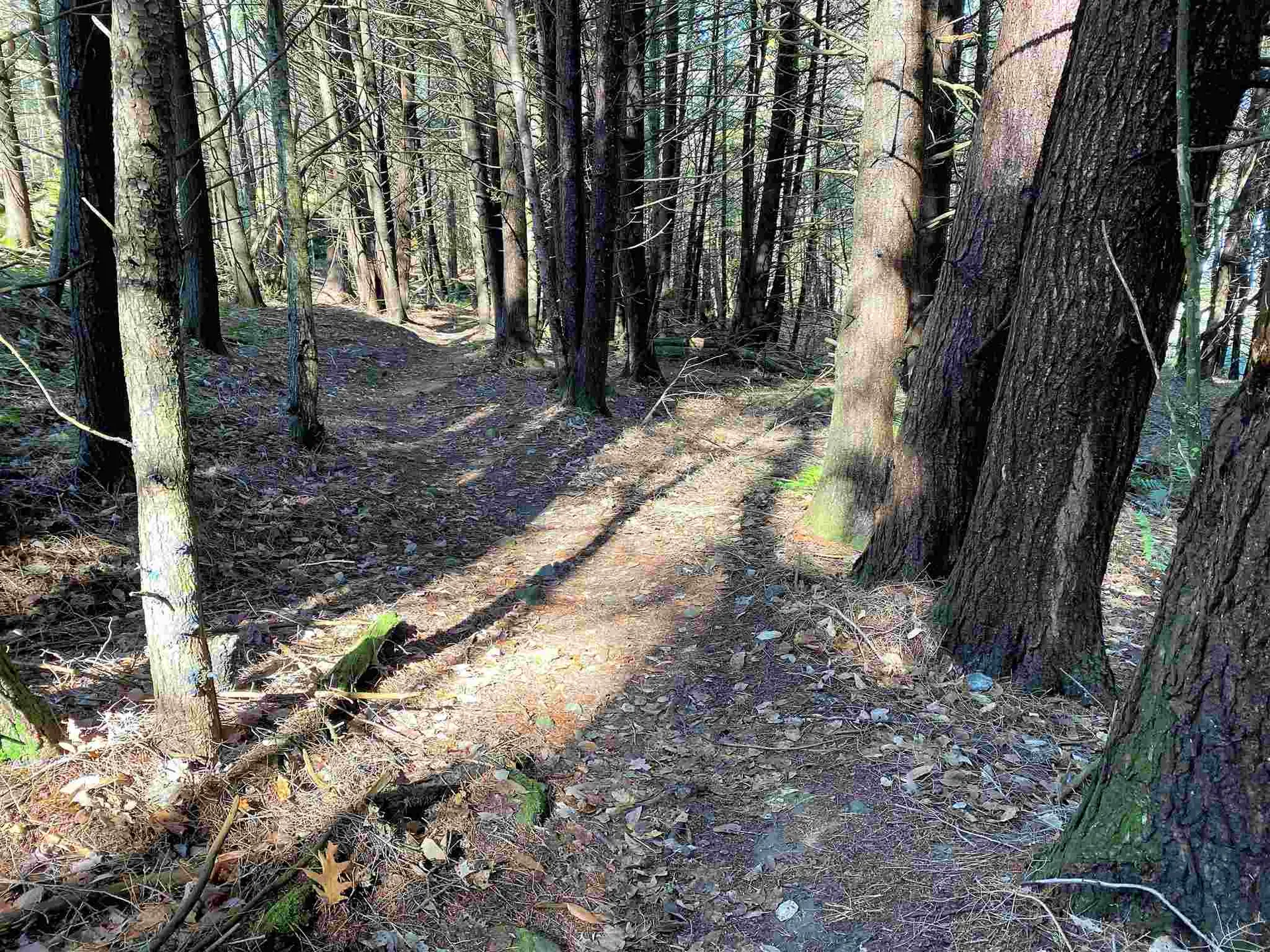 00-001 Hartland Hill Road Woodstock VT 05091
