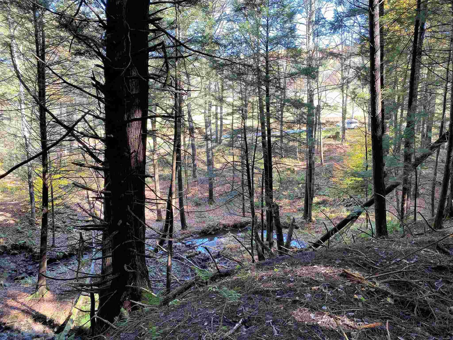 00-001 Hartland Hill Road Woodstock VT 05091