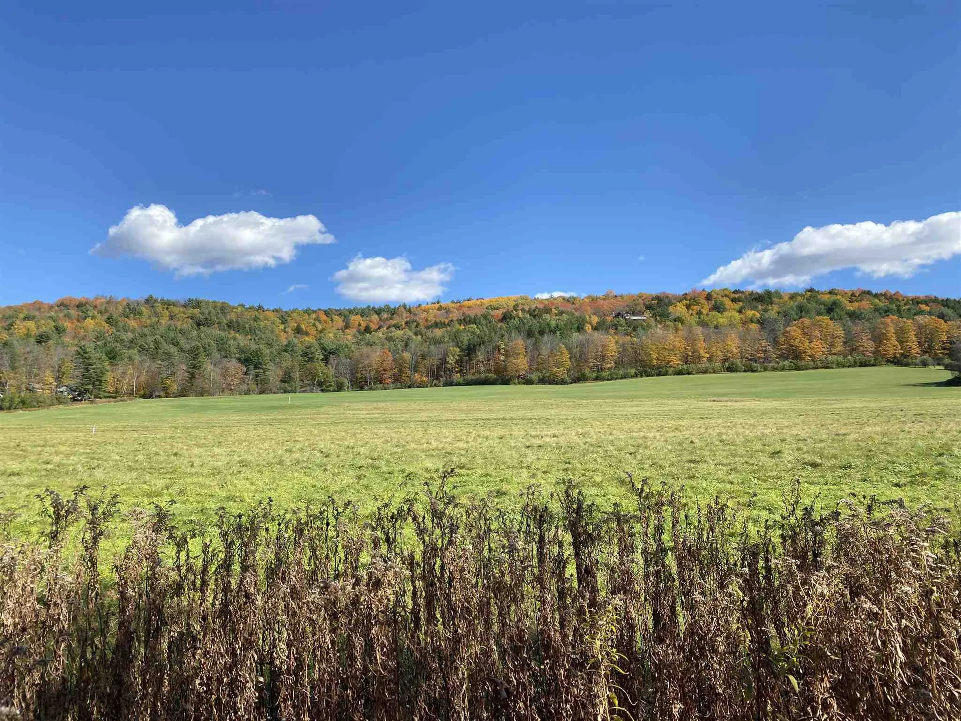 00-001 Hartland Hill Road Woodstock VT 05091
