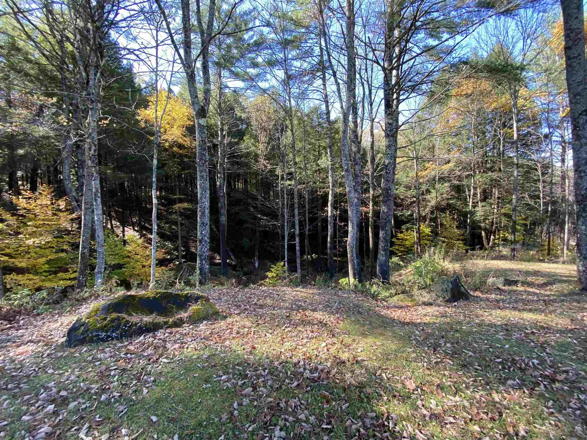 00-001 Hartland Hill Road Woodstock VT 05091