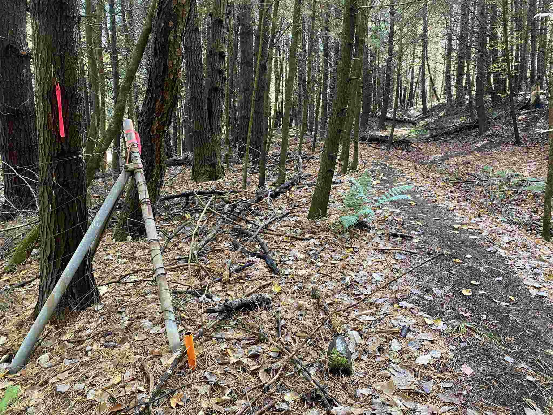 00-001 Hartland Hill Road Woodstock VT 05091