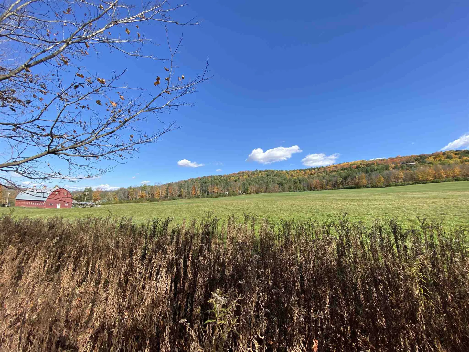 00-001 Hartland Hill Road Woodstock VT 05091