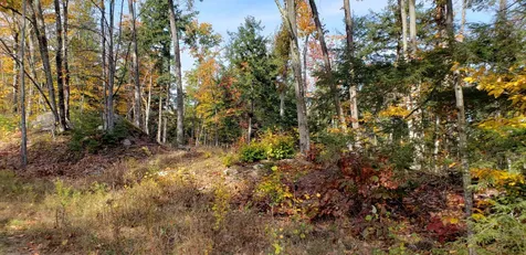1195 Route 16 Ossipee NH 03864