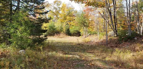 1195 Route 16 Ossipee NH 03864