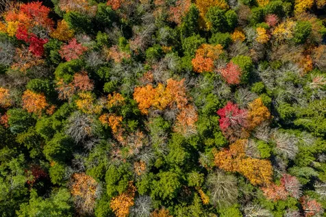 359 Chaves Road Londonderry VT 05148