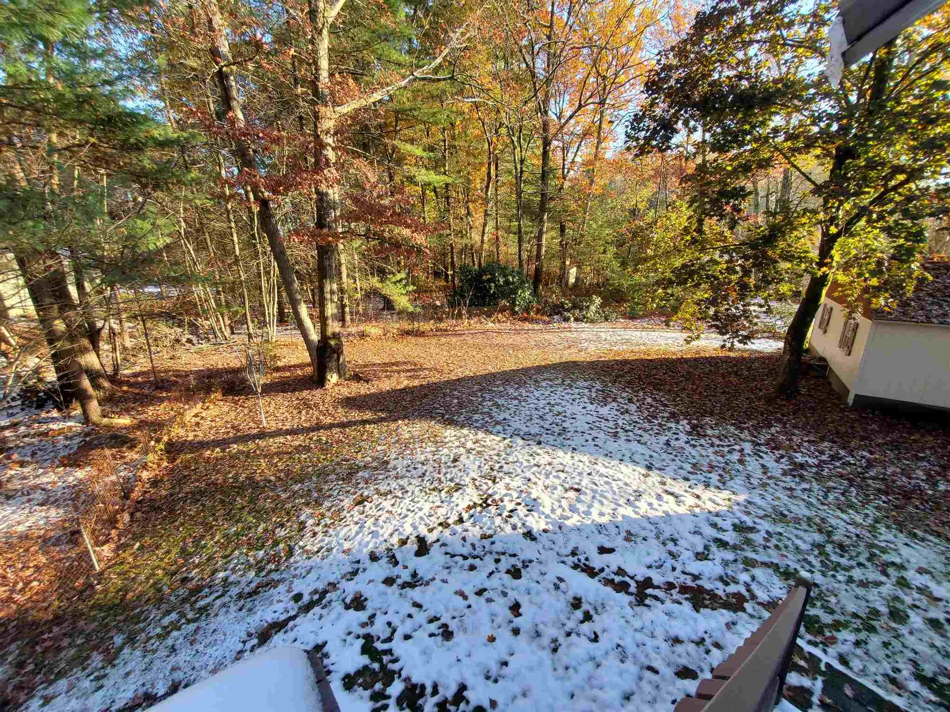 156 Mammoth Road Londonderry NH 03053