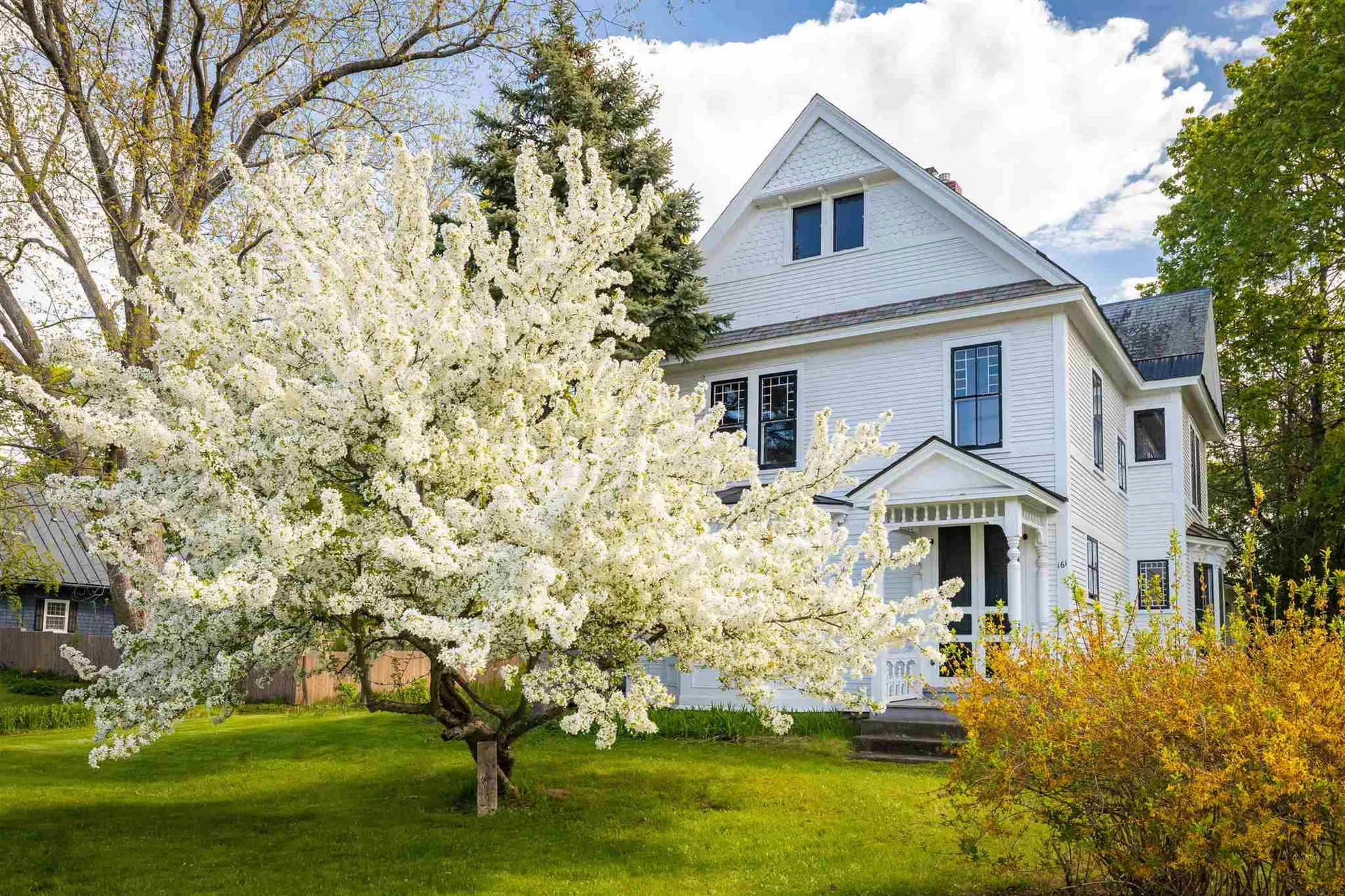 161 Harbor Road Shelburne VT 05482