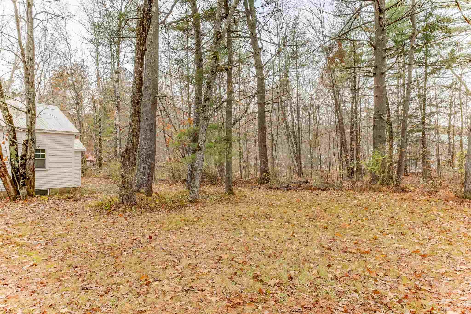 51 Butternut Lane Conway NH 03818