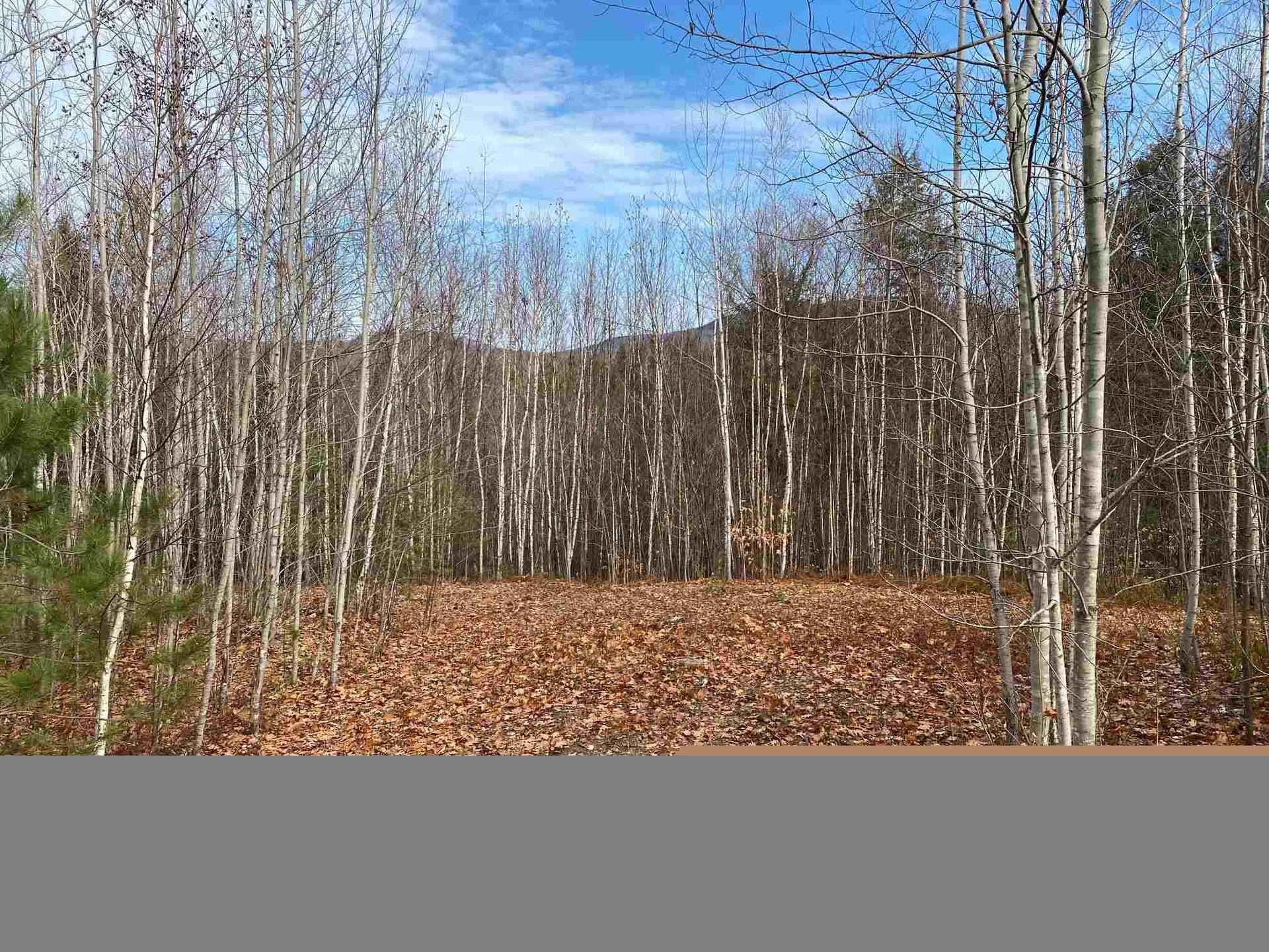 0 Stickney Hill Road Campton NH 03223