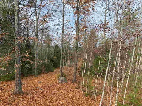 0 Stickney Hill Road Campton NH 03223