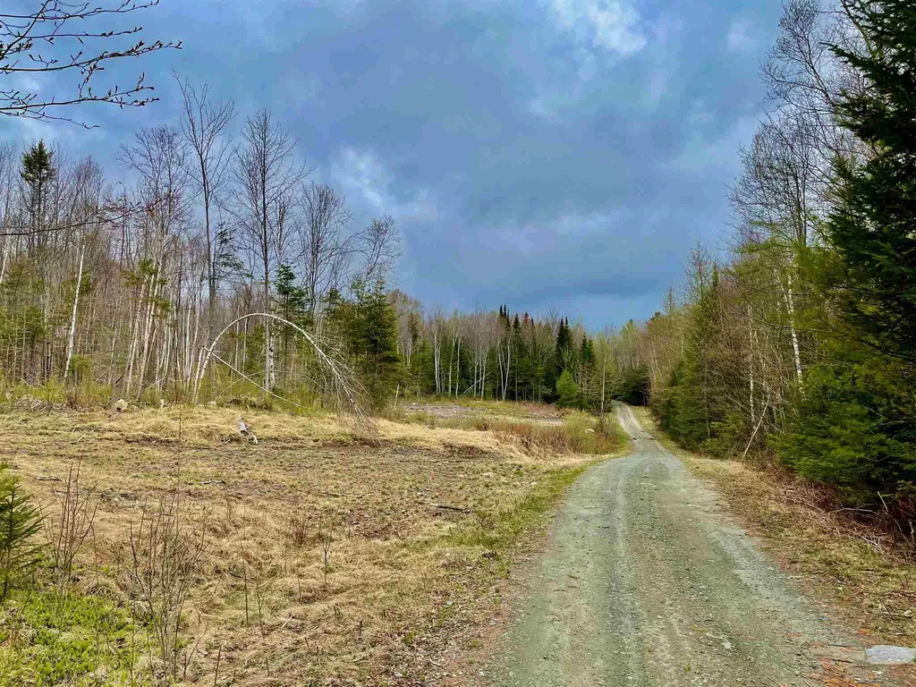 1070 Bear Hill Road Maidstone, VT Real Estate MLS 4837235