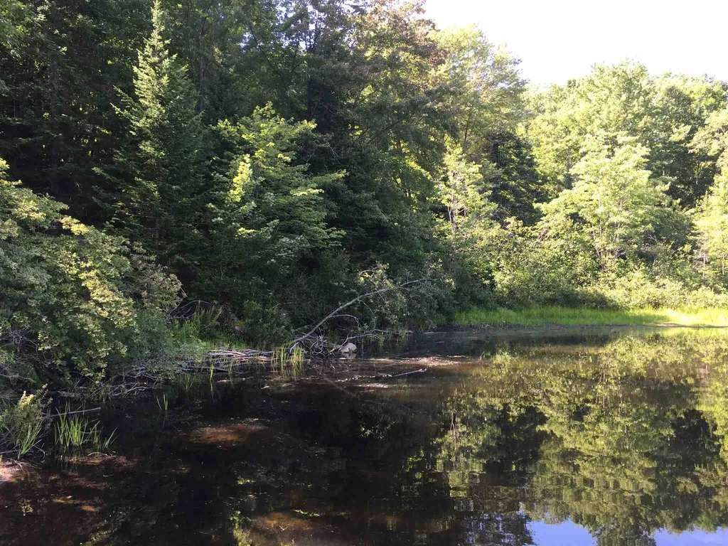 Cranmore Road Haverhill NH 03785