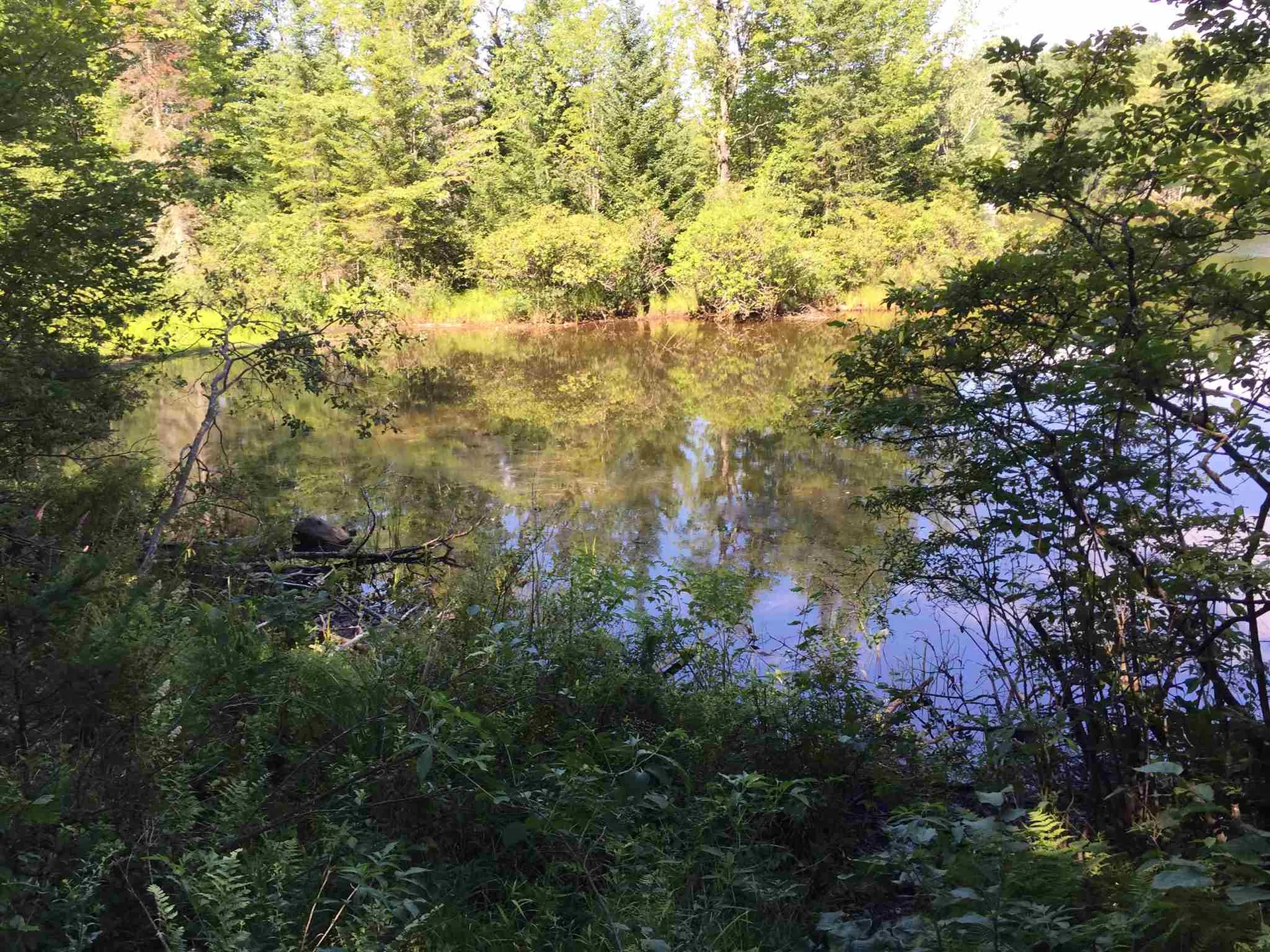 Cranmore Road Haverhill NH 03785