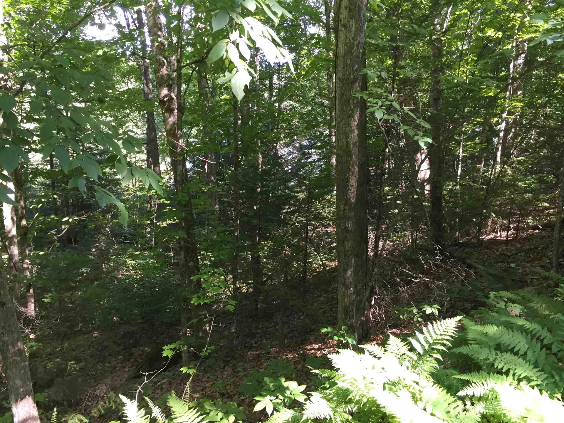 Cranmore Road Haverhill NH 03785
