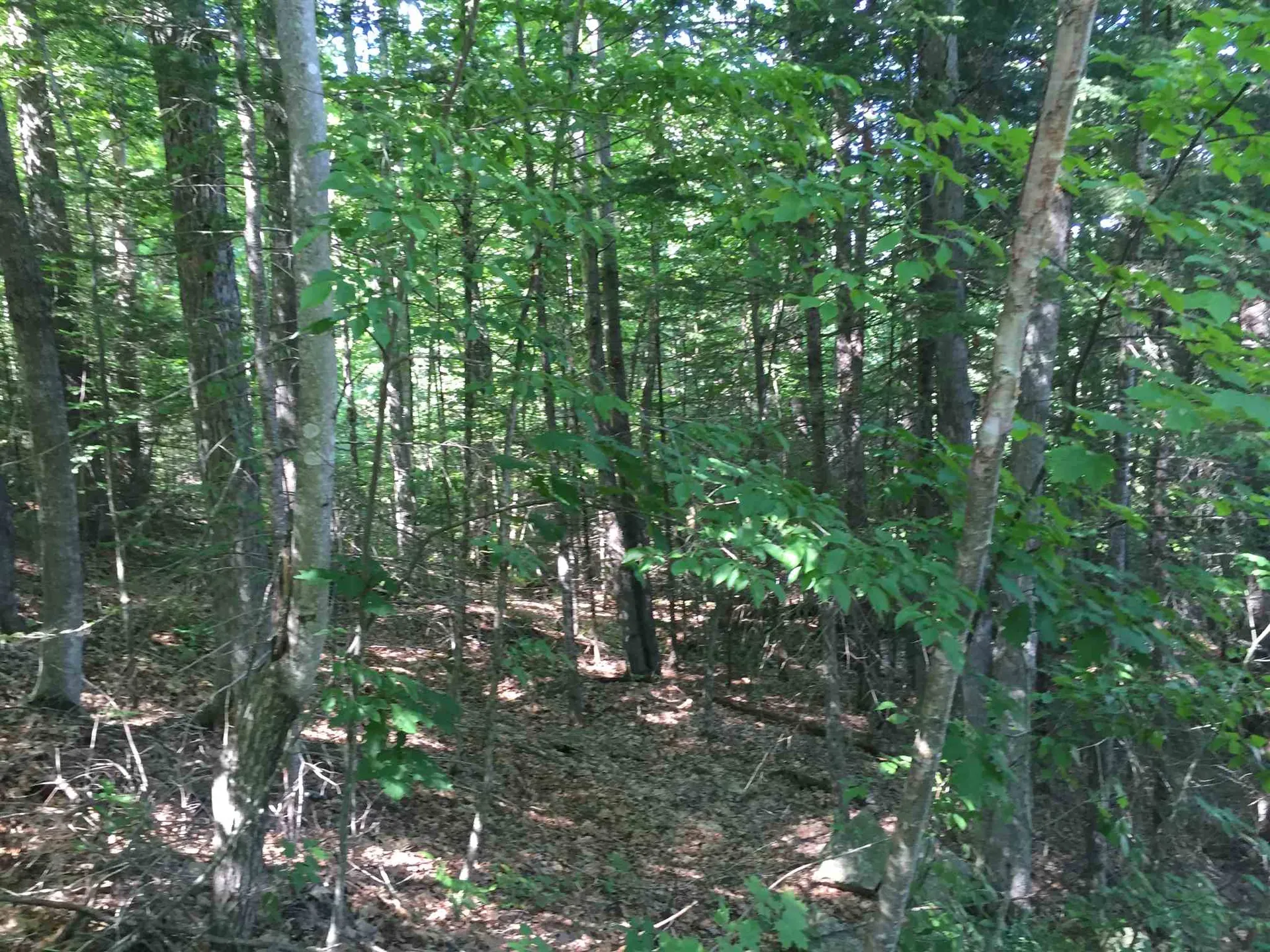 Cranmore Road Haverhill NH 03785