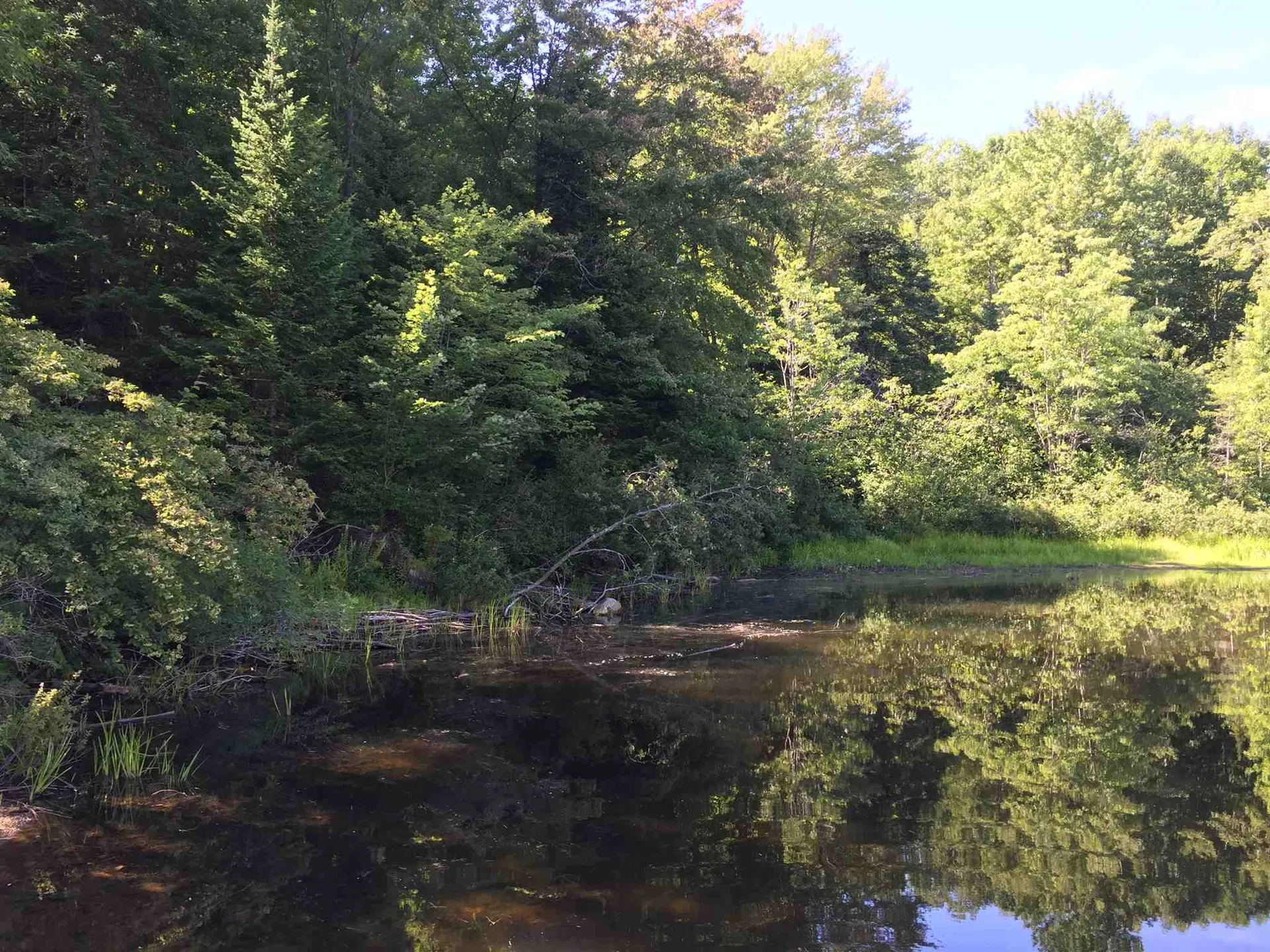 Cranmore Road Haverhill NH 03785