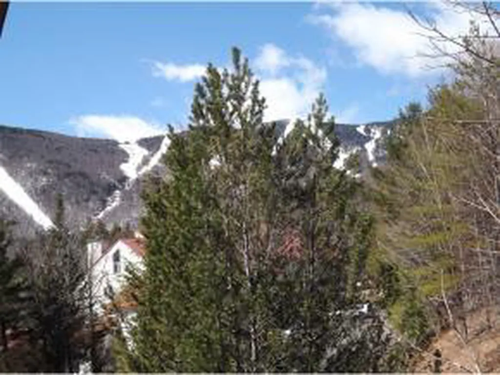 6 Mountainside Drive Warren VT 05674