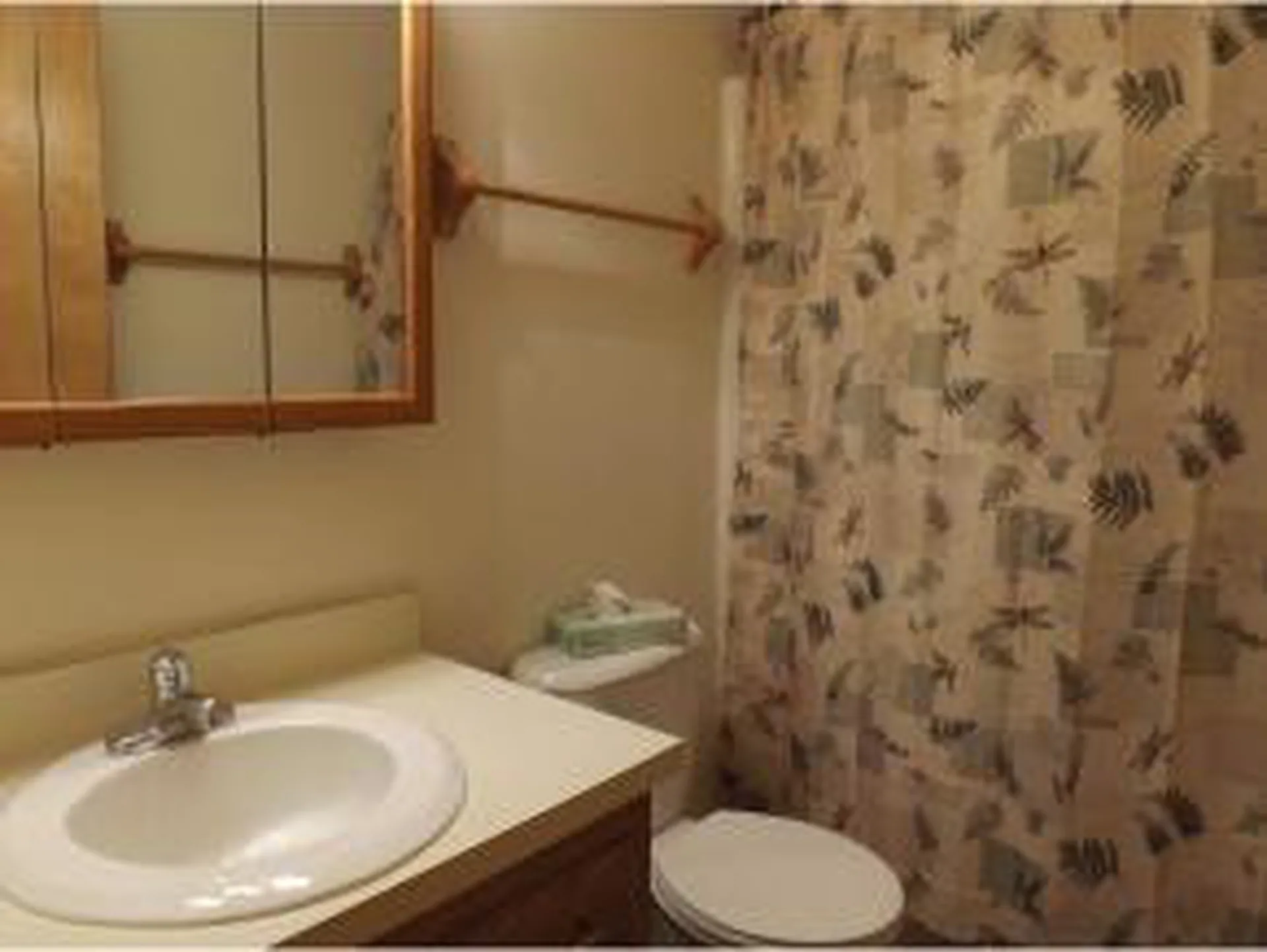 6 Mountainside Drive Warren VT 05674
