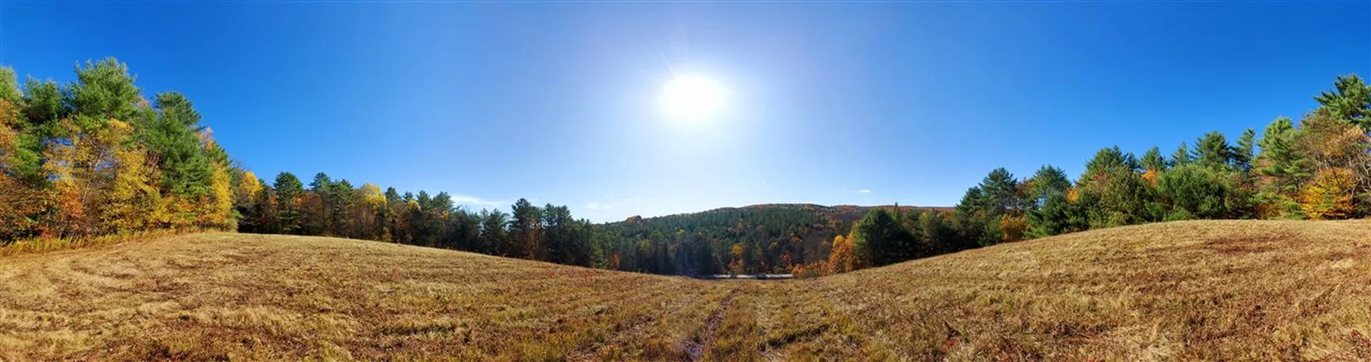 0 Beaver Meadow Road Norwich VT 05055