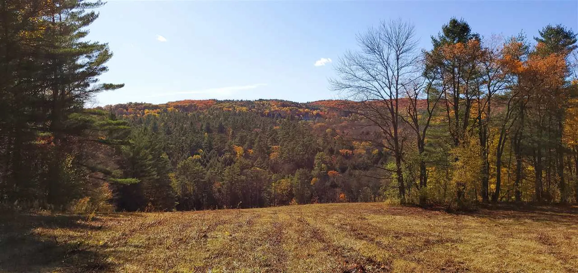 0 Beaver Meadow Road Norwich VT 05055