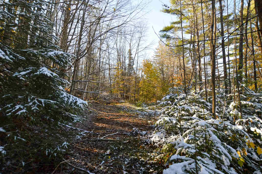 51 Pleasant Street Ludlow VT 05149