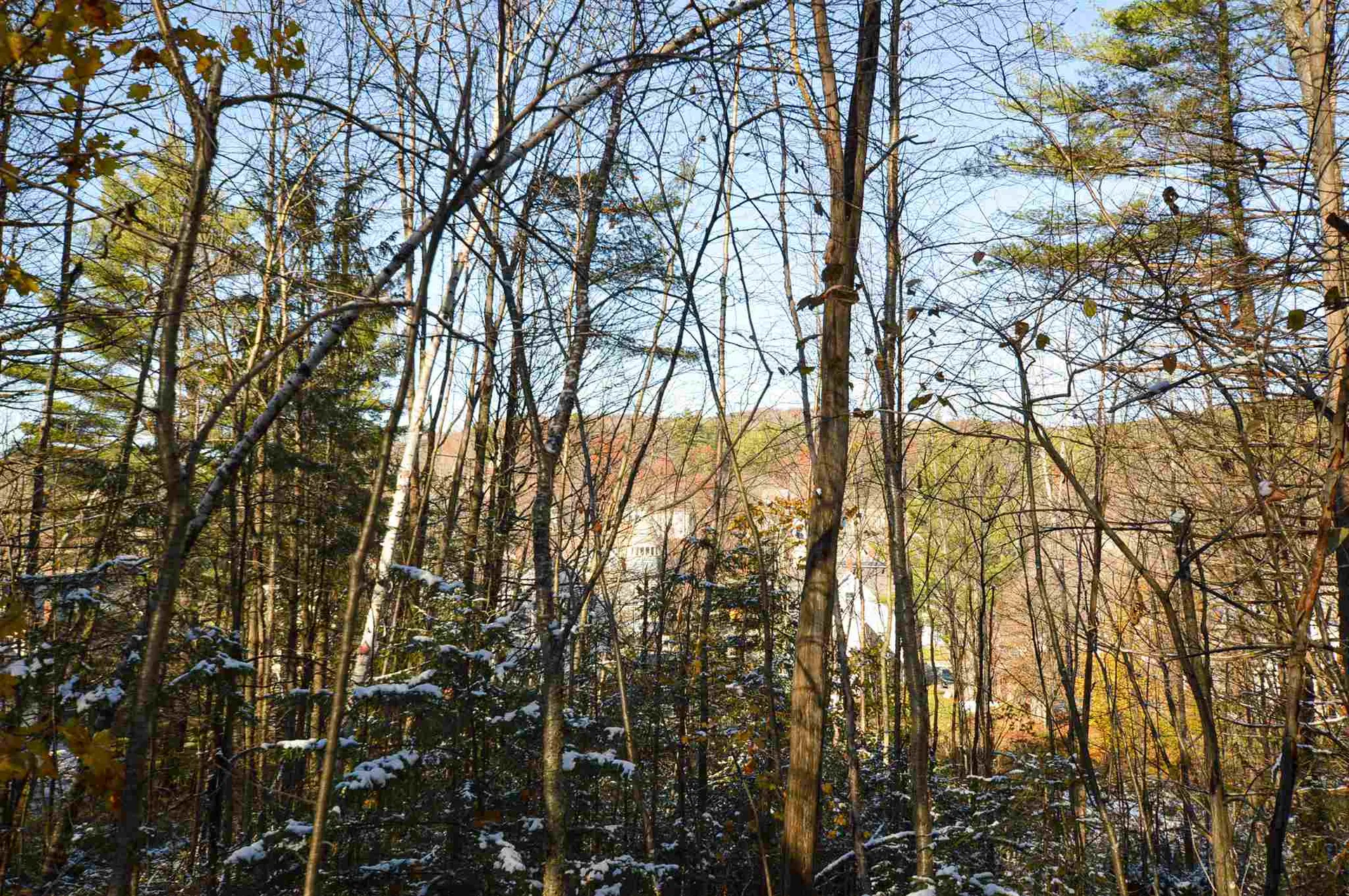 51 Pleasant Street Ludlow VT 05149