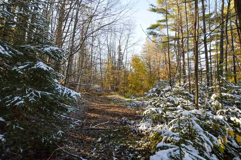 51 Pleasant Street Ludlow VT 05149